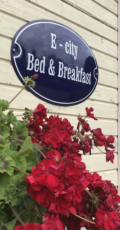E-City B&B トルニオ エクステリア 写真